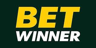 Experience the Thrill of Gaming at Betwinner Casino Experience the Thrill of Gaming at Betwinner Casino
